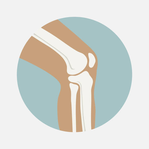 Bones, Joint and Muscle Supplement Support