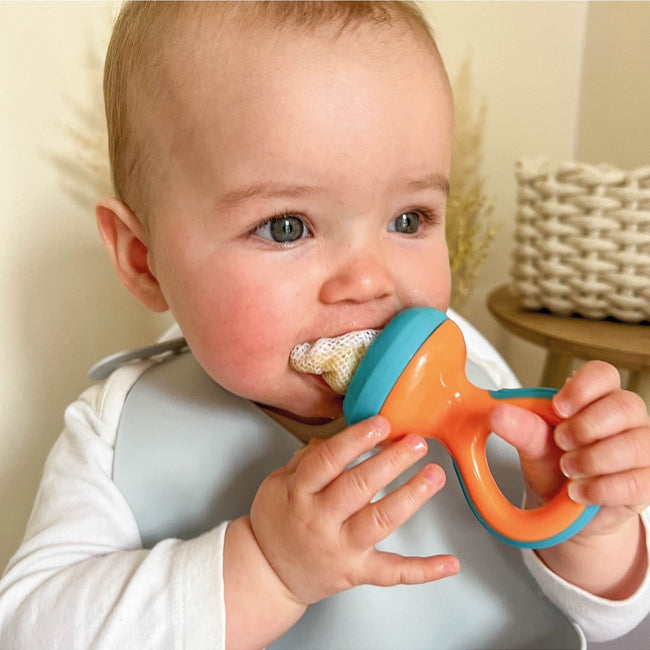 Nuby The Nibbler Fresh Food Feeder