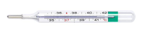 Geratherm Classic Clinical Thermometer