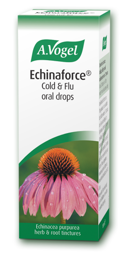 A Vogel Echinaforce Oral Drops - Cold &amp; Flu