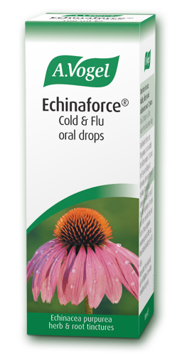 A Vogel Echinaforce Oral Drops - Cold & Flu