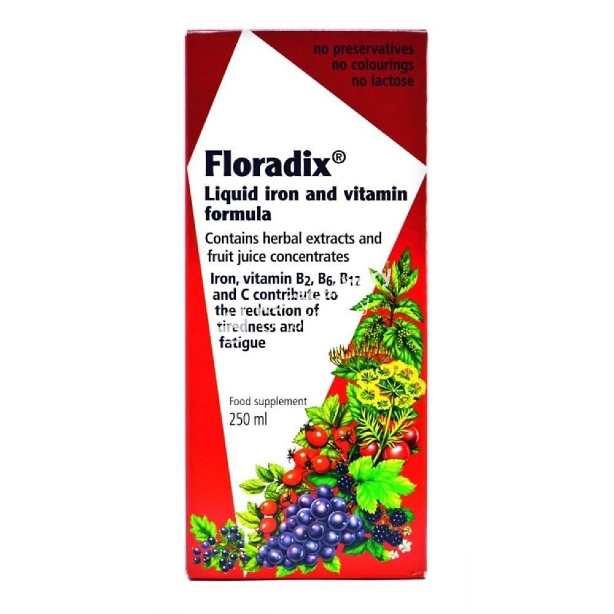 Floradix Liquid Iron & Vitamin Formula Multivitamins