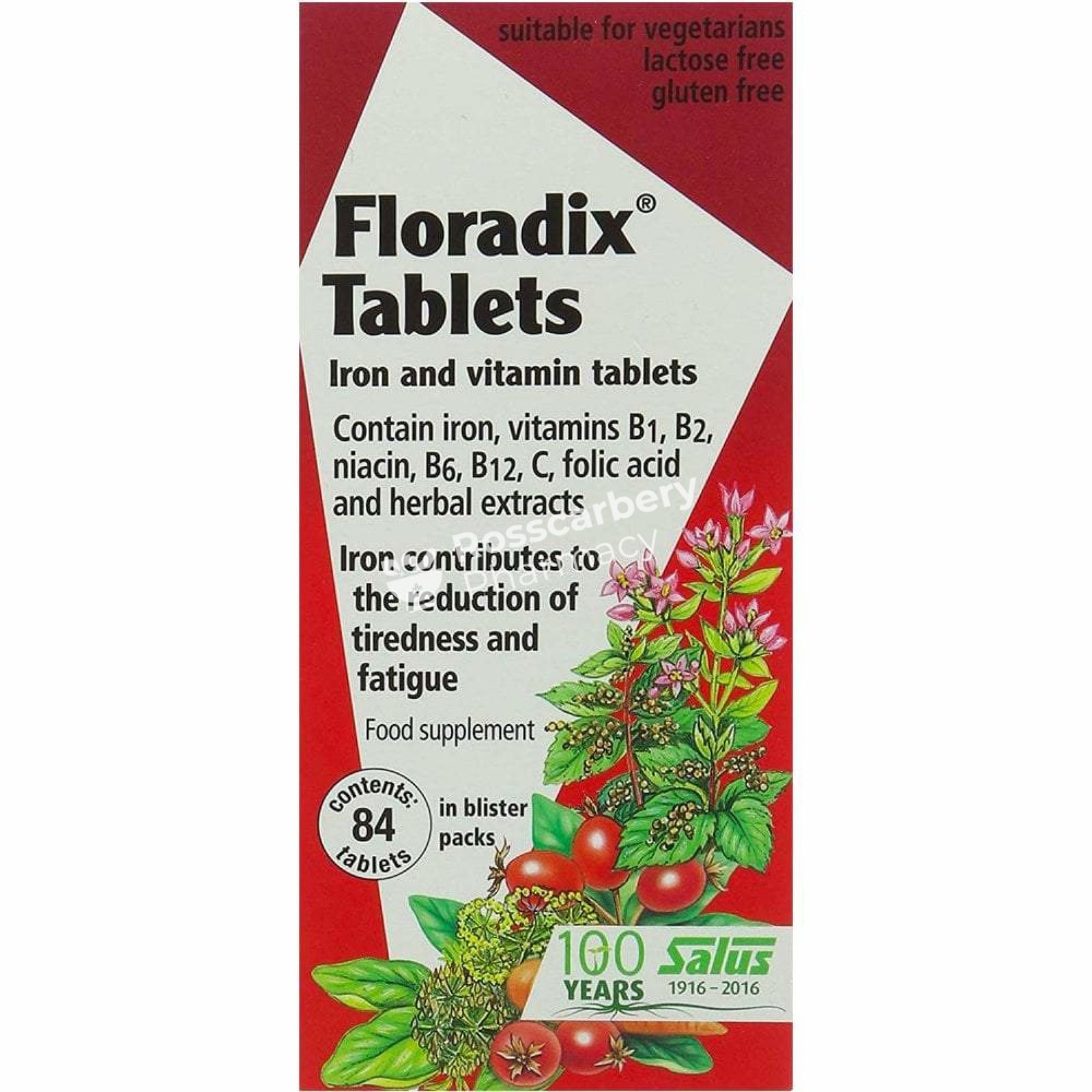 Floradix Tablets Iron & Vitamins Multivitamins